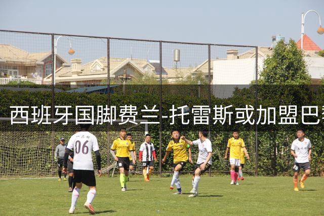 西班牙国脚费兰-托雷斯或加盟巴黎 已与法甲豪门达成薪资协议